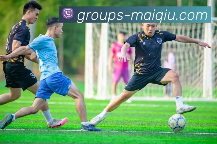 买球线上官方APP 高清赛事图